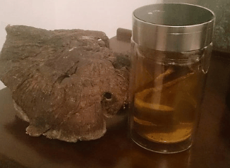 医生说: 开水里加上它, 连续喝几天, 爱妻直呼“受不了”