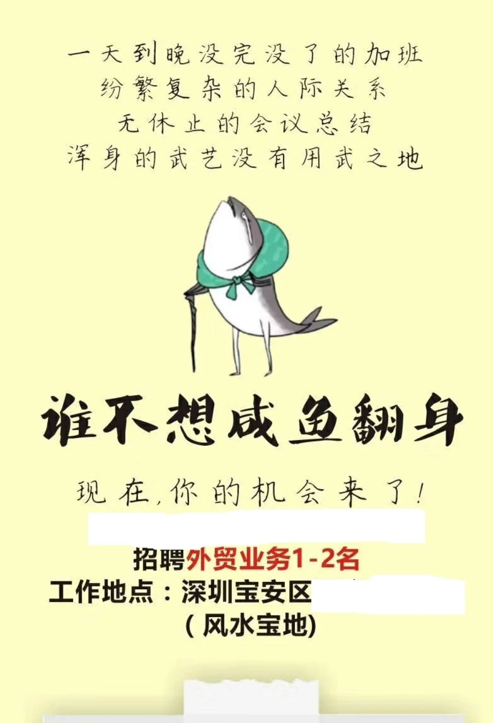 老是招不到外贸？？完犊子啦！！