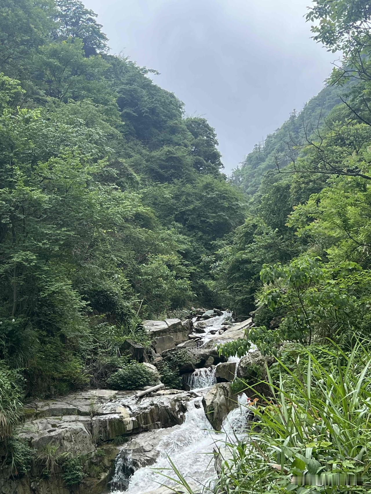 月亮对地球的重要性是全方位且不可替代的。从物理稳定性角度看，月球如同地球的“定海