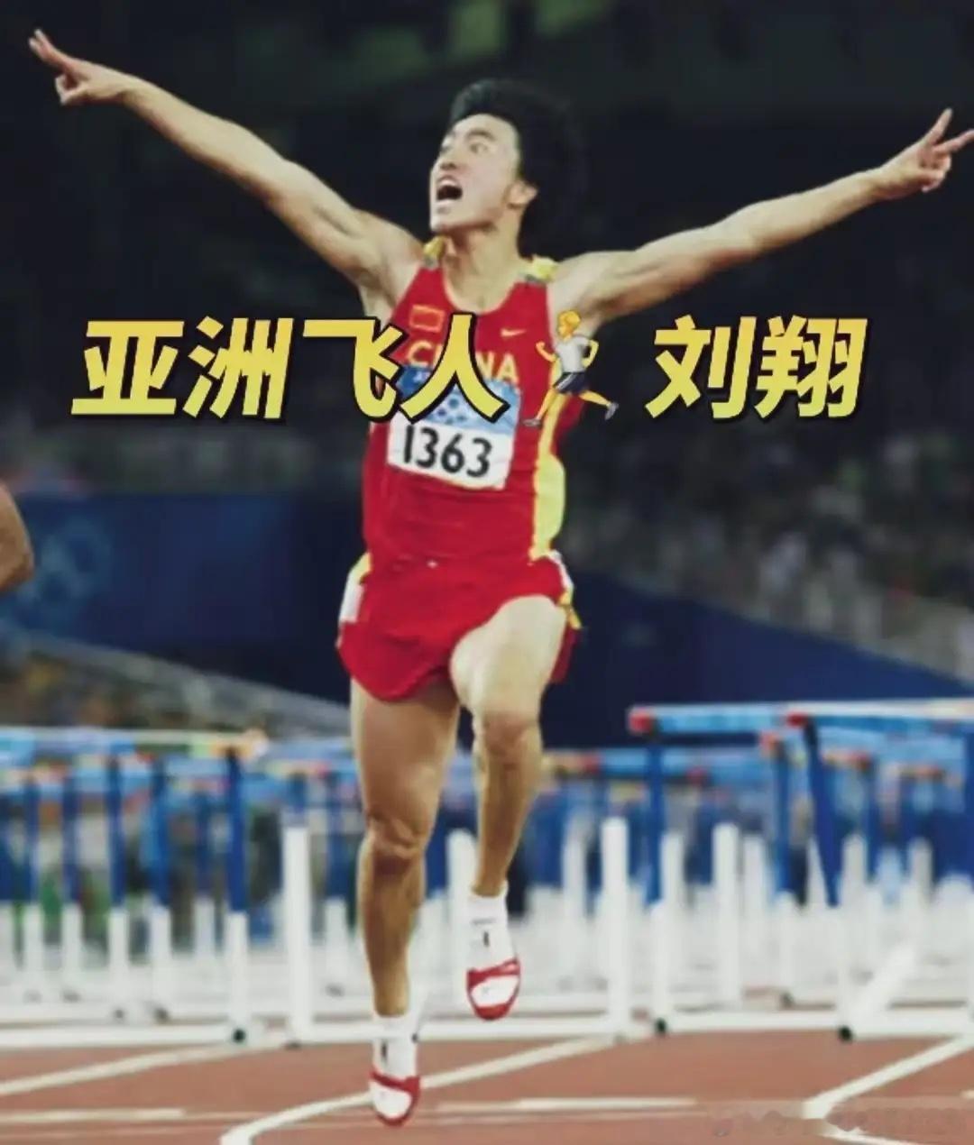 投票结果出来了。我看完愣了半天。刘翔自己发起的那个投票，四万七千多人参与