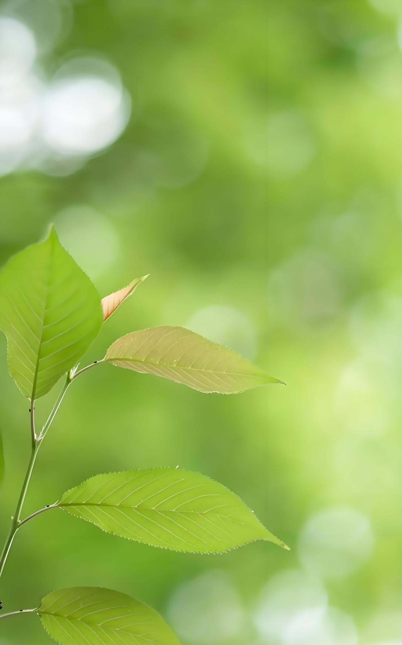 人活着要永远记住这些很现实的事第一件事如果你想每天都过得很开心就要学会记
