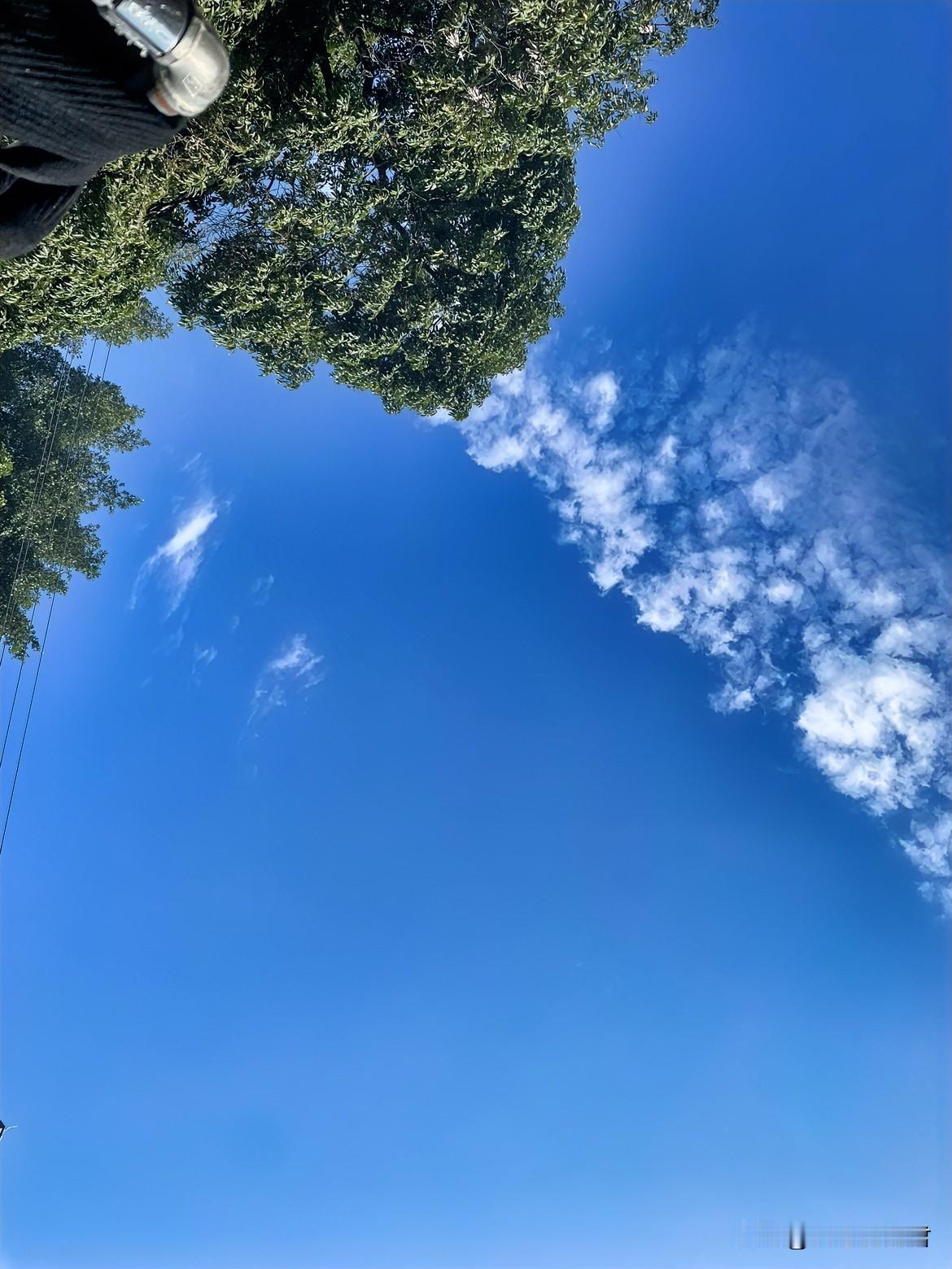 千万不要想要通过离婚来逃避夫妻共同债务，这是不可能的事！一女子，和老公结婚5年，