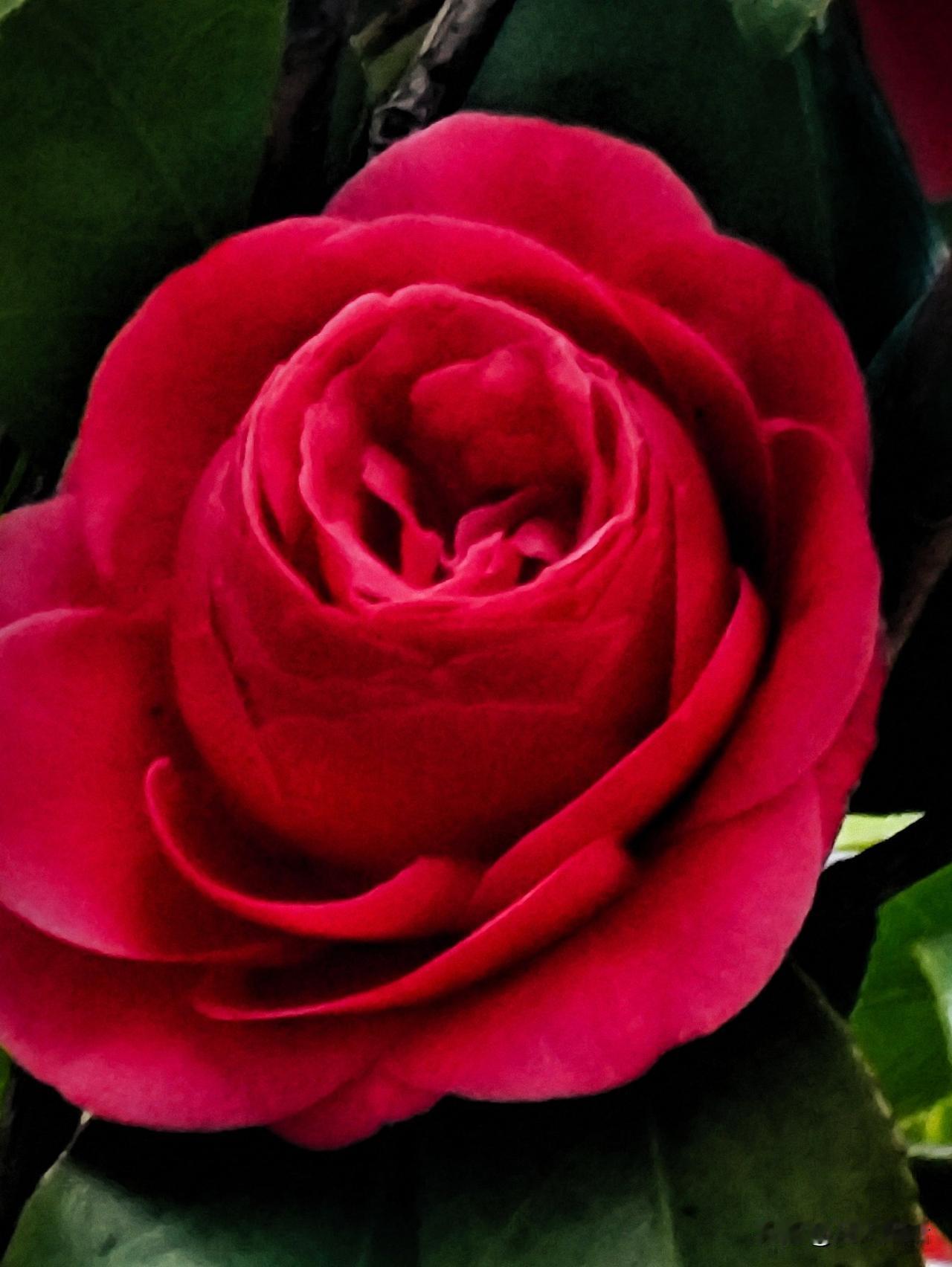 阿尔茨海默病患者的福音真的要来了吗？针对阿尔茨海默病（AD），国内SAIL研究