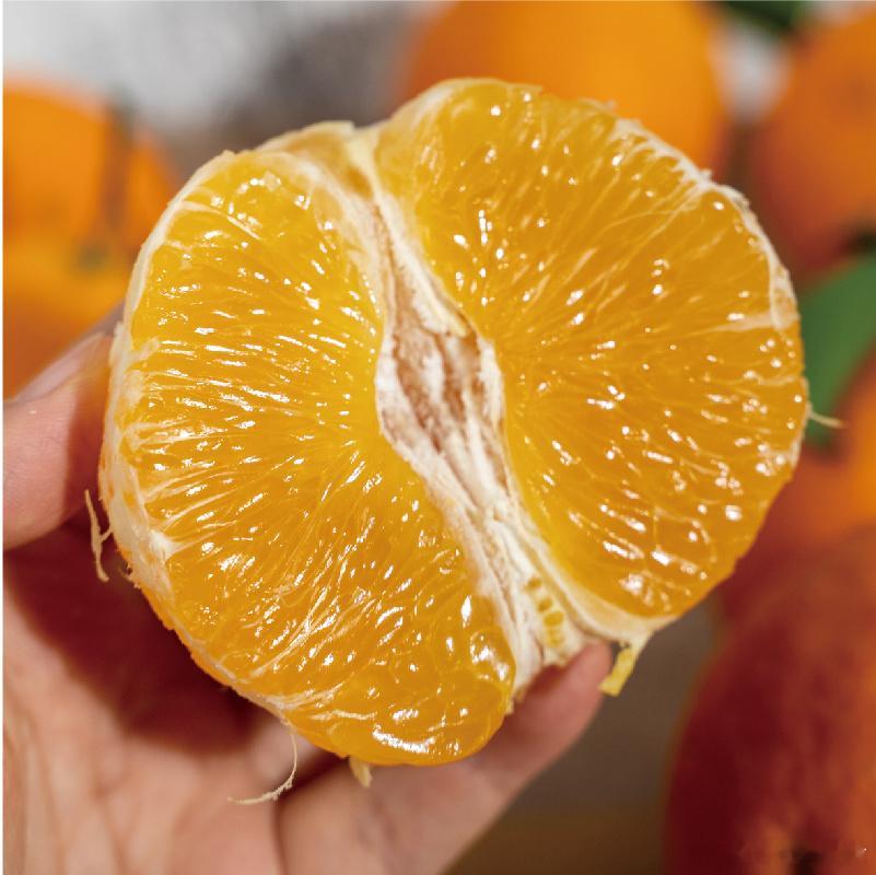 好吃又便宜的蒲江套袋爱媛橙，皮薄无核多汁，果肉像果冻一样，果味自然汁水丰盈爆满，