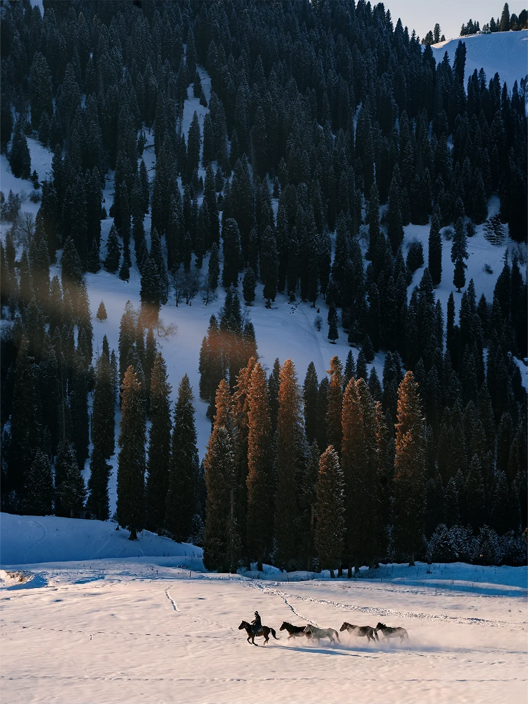 救命！！冬天的库尔德宁比北欧还童话！