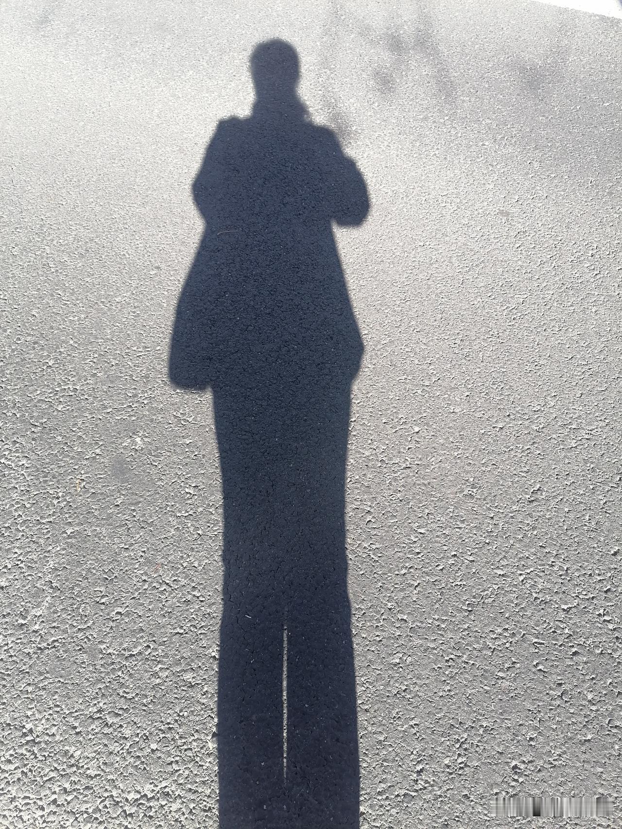 今天去做经络调理，一进门，俩大姐就虎视眈眈地看着我，潜台词是，你可算来了，酷刑马