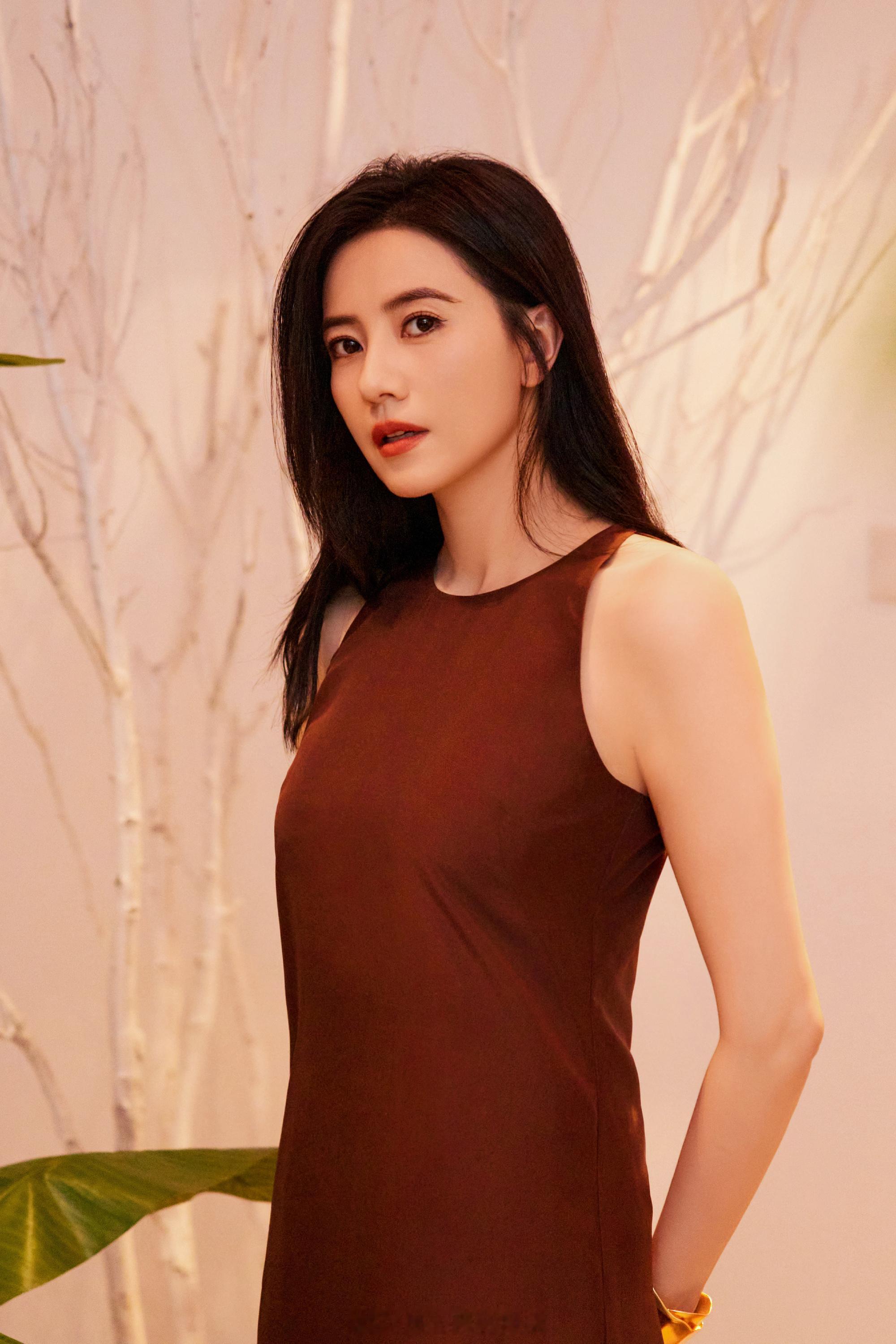 高圆圆优雅明艳​​​