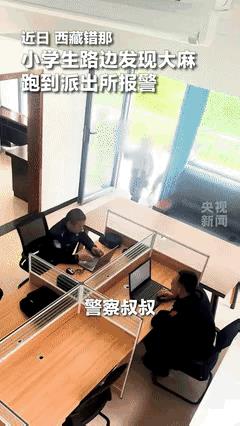 火到人民网！2025年6月20日报道，西藏，三名小学生去到派出所，开口的第一句话
