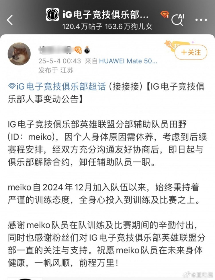AI取代不了人类网友玩梗Meiko离开IG AI生成造谣词条登上热搜