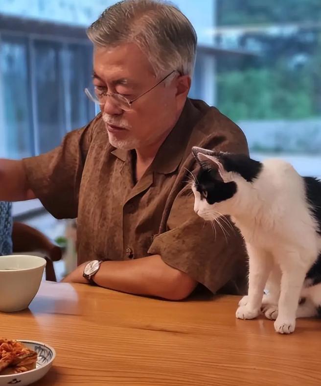 文在寅到底有没有摆脱“青瓦台魔咒”？文在寅2022年5月卸任至今已