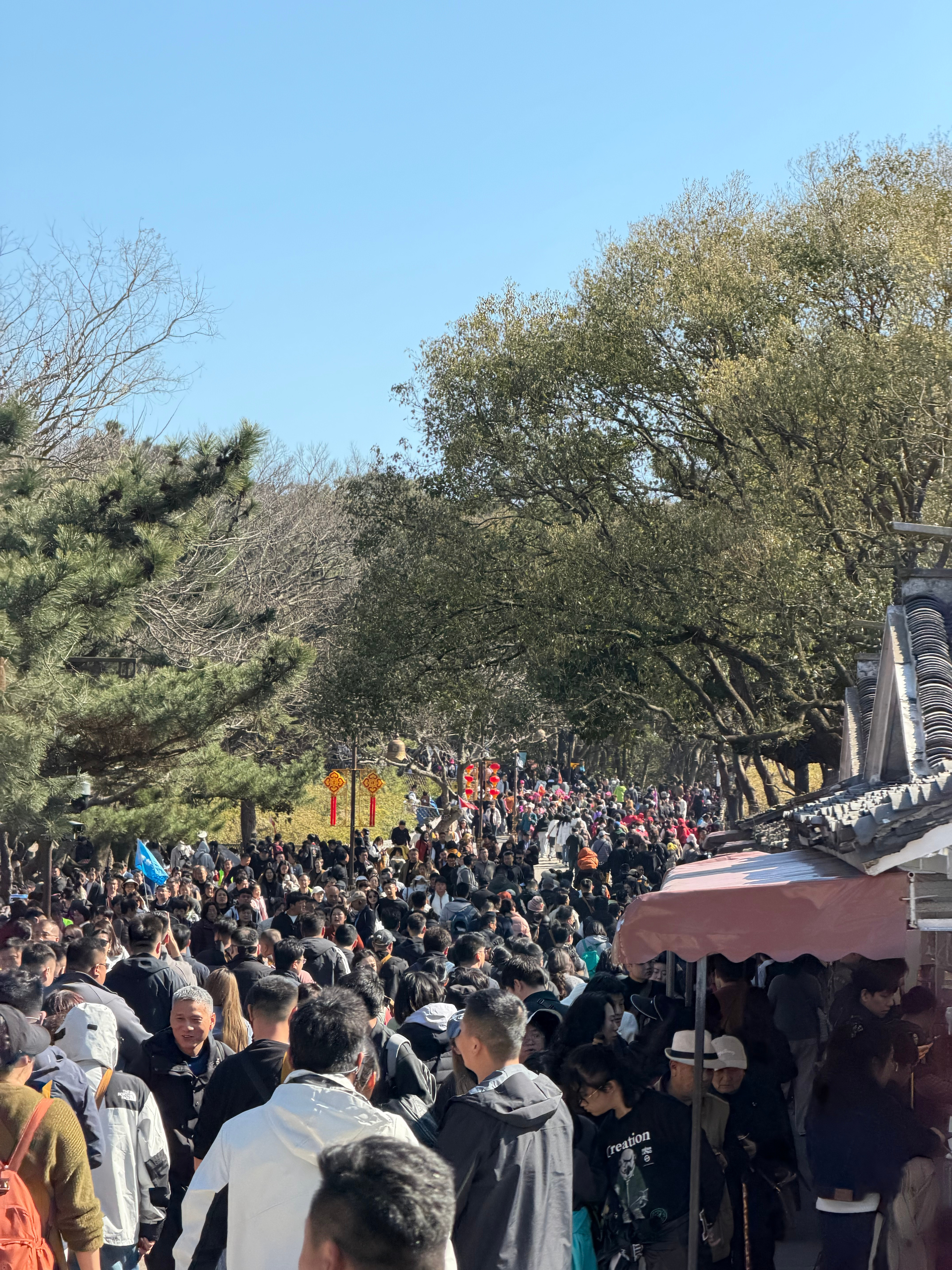 今天貌似是什么佛教节日，普陀山游客巨多。怒走两万步舟山·普陀山风景名胜区