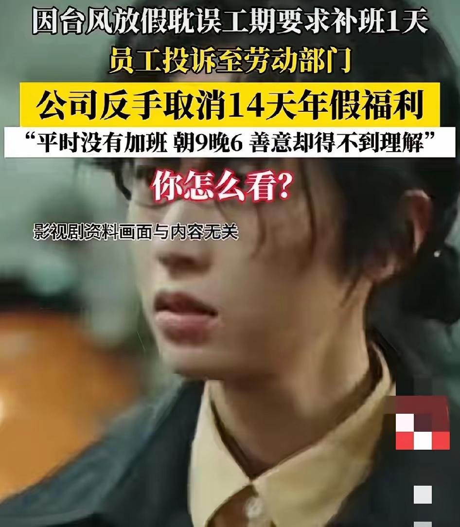 补班被举报就取消14天年假？深圳疆拓这事看着闹心本质根本不是“白眼狼”