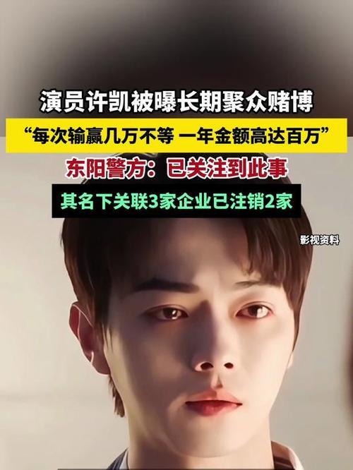 9月8日，许凯被曝长期聚众赌博，爆料称其有固定牌友，每次输赢几万，一年赌资达百万