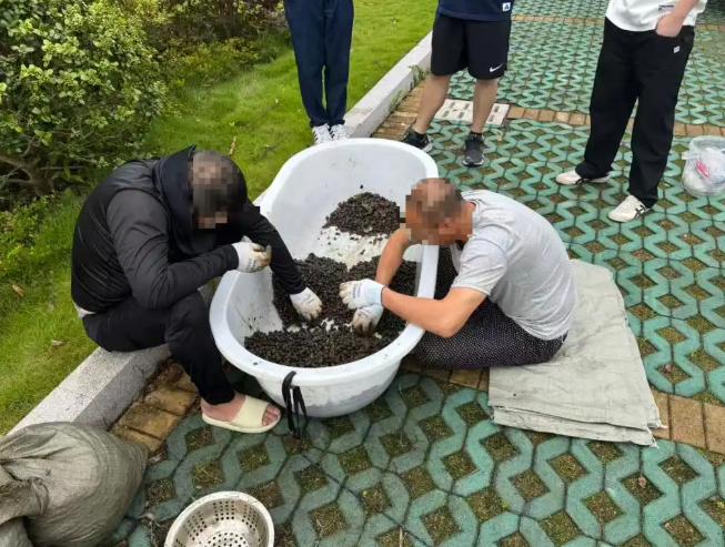 太离谱！浙江一男子闲来无事约上好友半夜偷偷下水捞螺蛳，赚点快钱，结果捞了34袋，