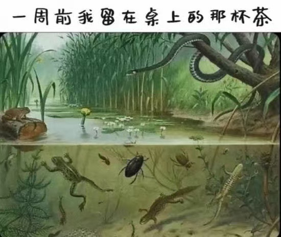 生态不错​​​