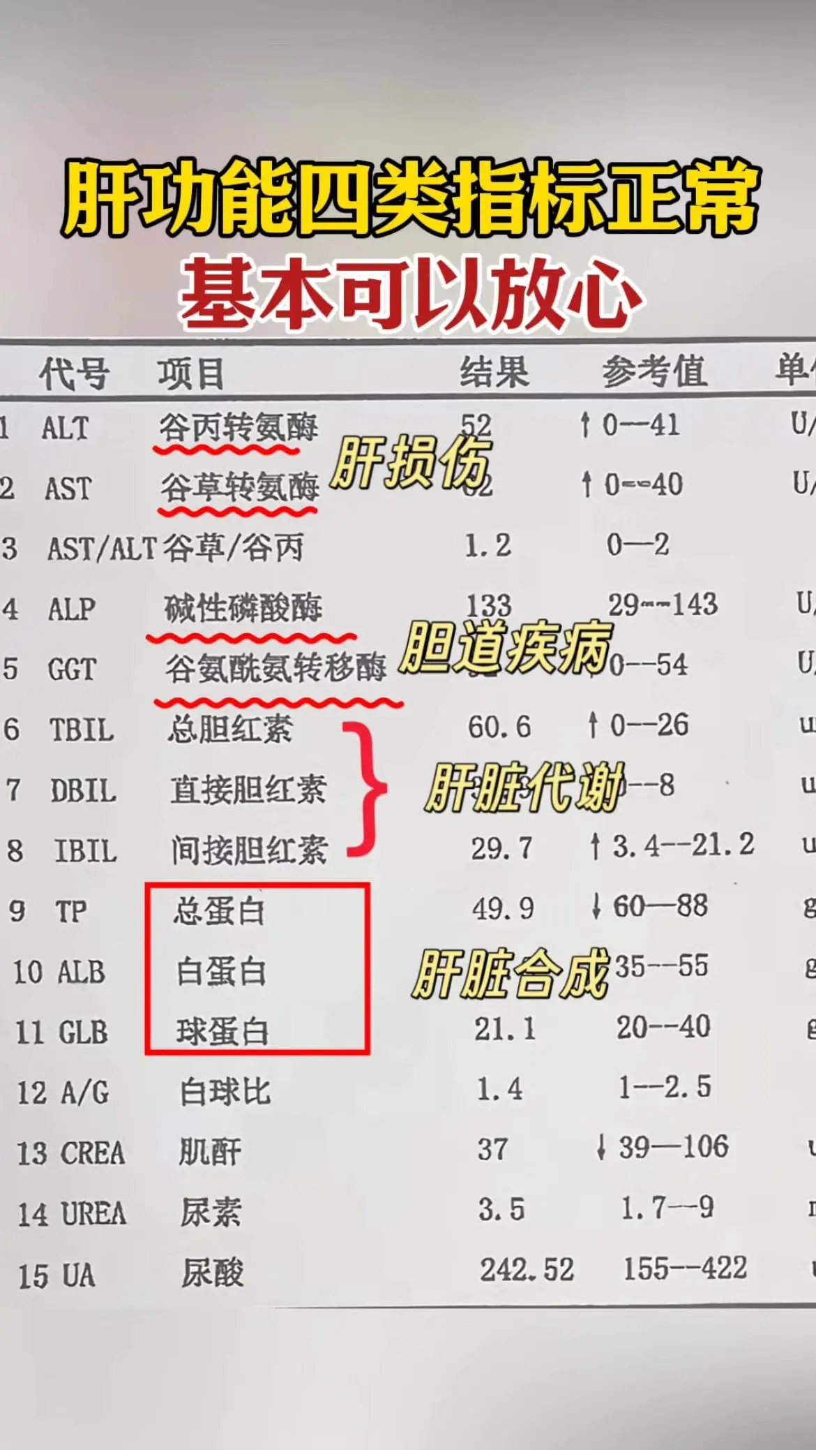 肝功能报告怎么看。最近有很多朋友问，肝功能报告有异常，担心肝脏出了大问...