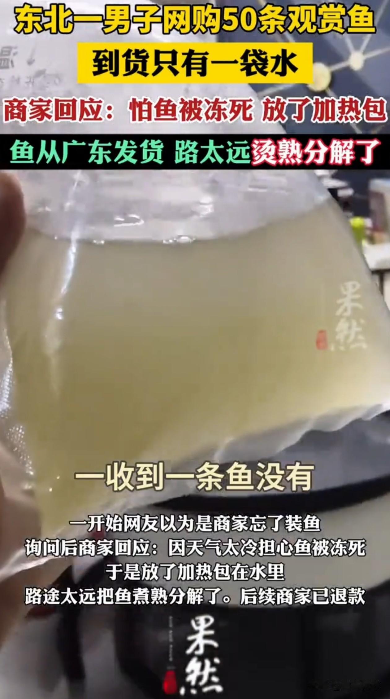 万万没想到！东北，男子在网上买了50条观赏鱼，结果到货只有一袋水，商家解释，怕鱼