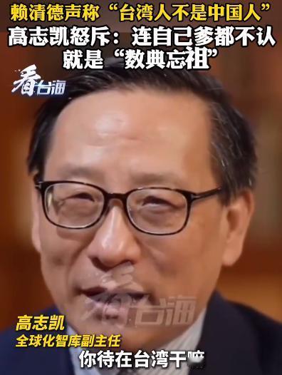 分析的太到位了！高志凯教授这一问，直接戳中了赖清德言论的要害。赖清德张口就说