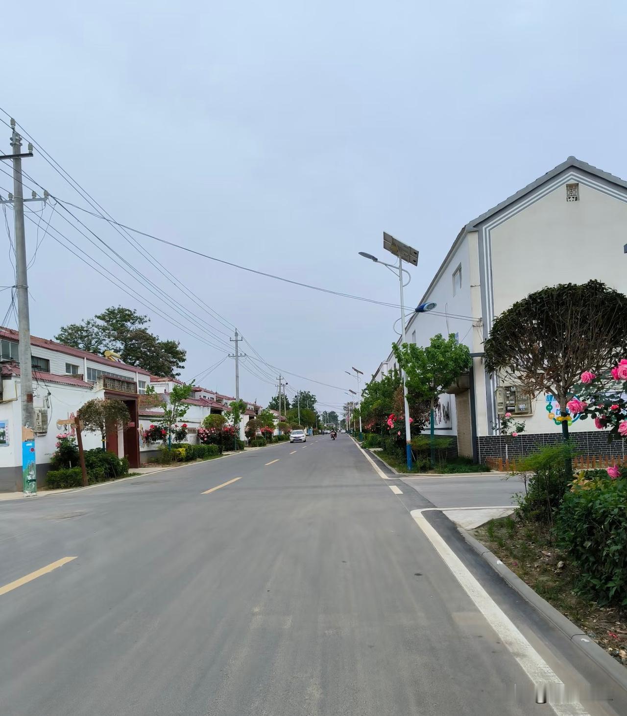 农村白事很现实的一幕：女婿不哭没人说，儿媳不哭遭众人议论如果你参加过农村的