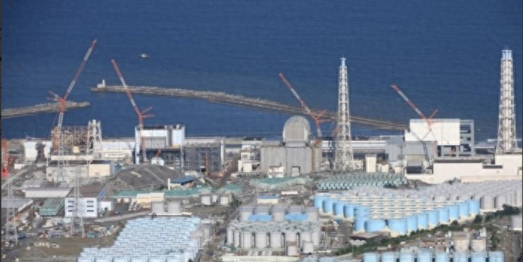 /日本的报应终于来了！！7月30日上午，东京电力公司紧急宣布暂停福岛第一
