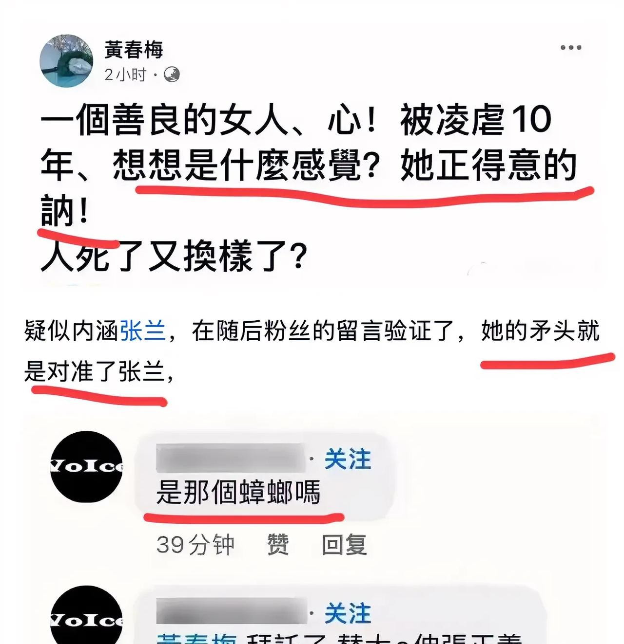 张兰反击大S母亲的言论有人说，S妈和张兰的battle，堪比甄嬛传宫