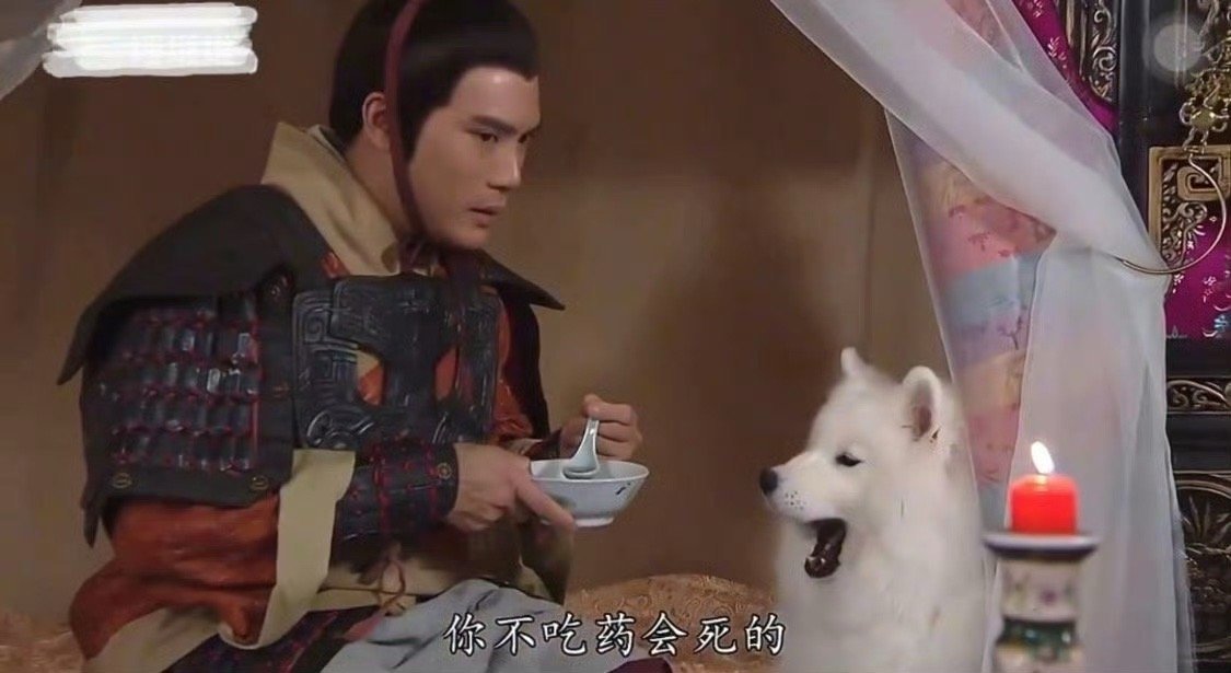 萨摩耶演哮天犬我是没想到的​​​