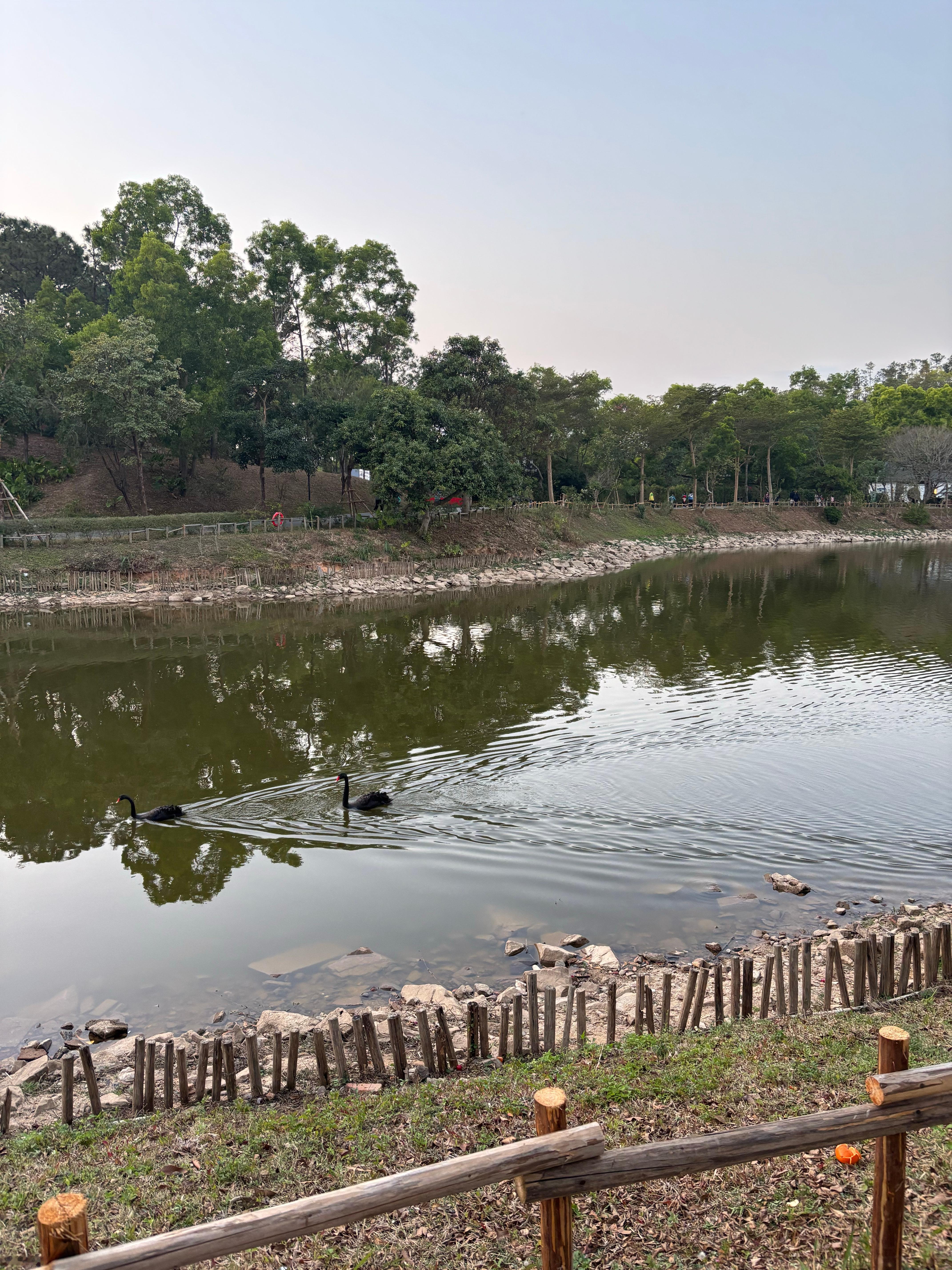 自从步入40以后，我明显感觉自己脑力、体力大不如前，容易犯困不说，还容易忘东西，