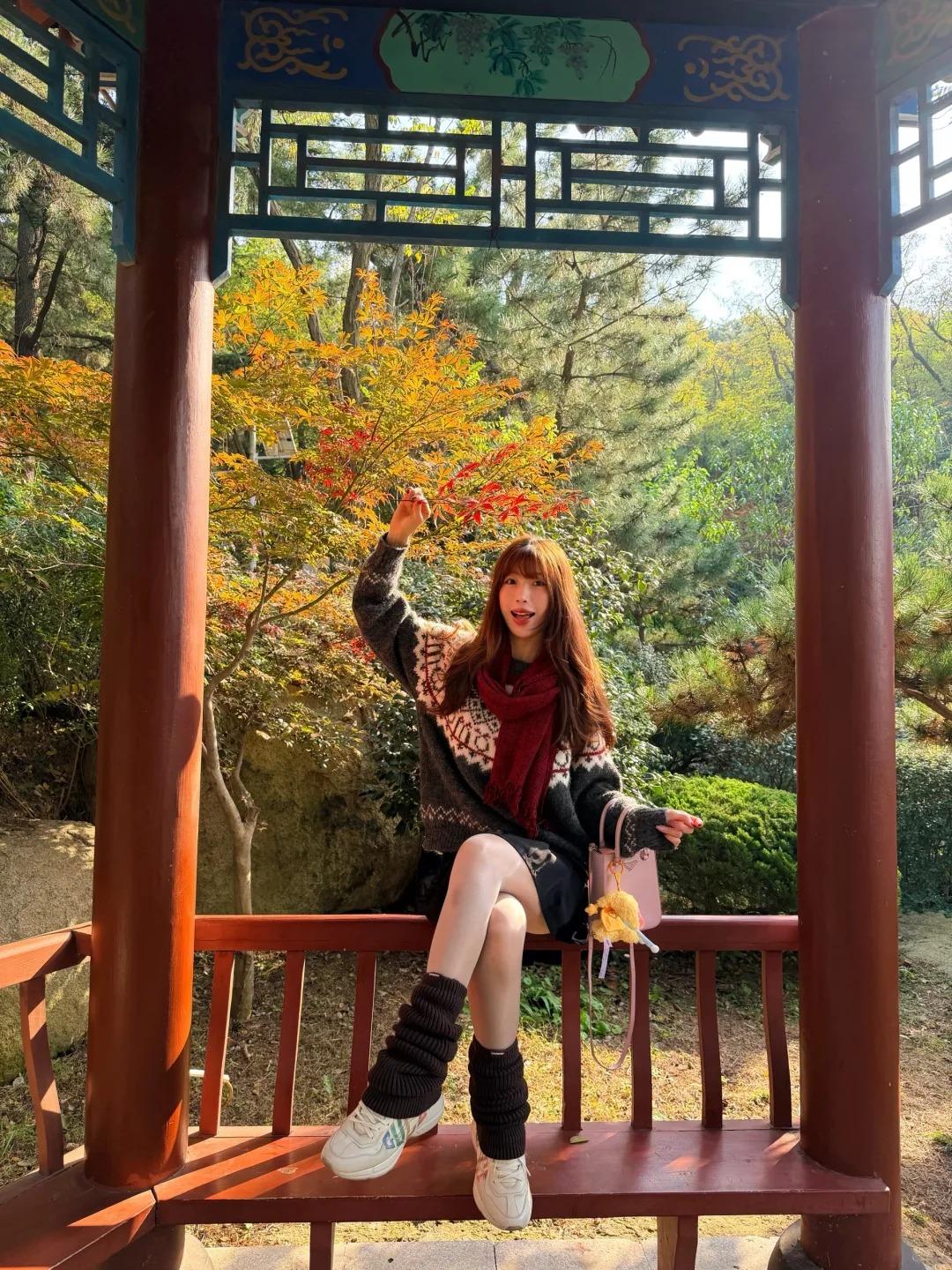 一进山全是漫山的枫叶和金黄银杏，风一吹沙沙作响，阳光透过枝叶洒下来，氛围感直接拉