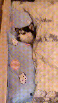 今天第一次带女朋友回家就被发现了