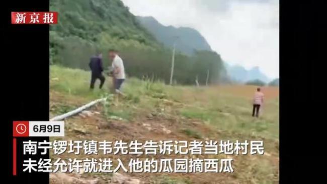 这不是丢人，是抢劫。广西一地村民哄抢280亩瓜田，仅仅以为是采摘后免费开放的
