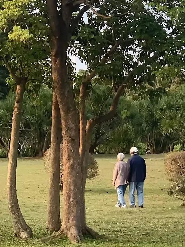 一个养老金调整的话题，从去年年底议论到今年7月，今天还有人说都23号了，全国各省