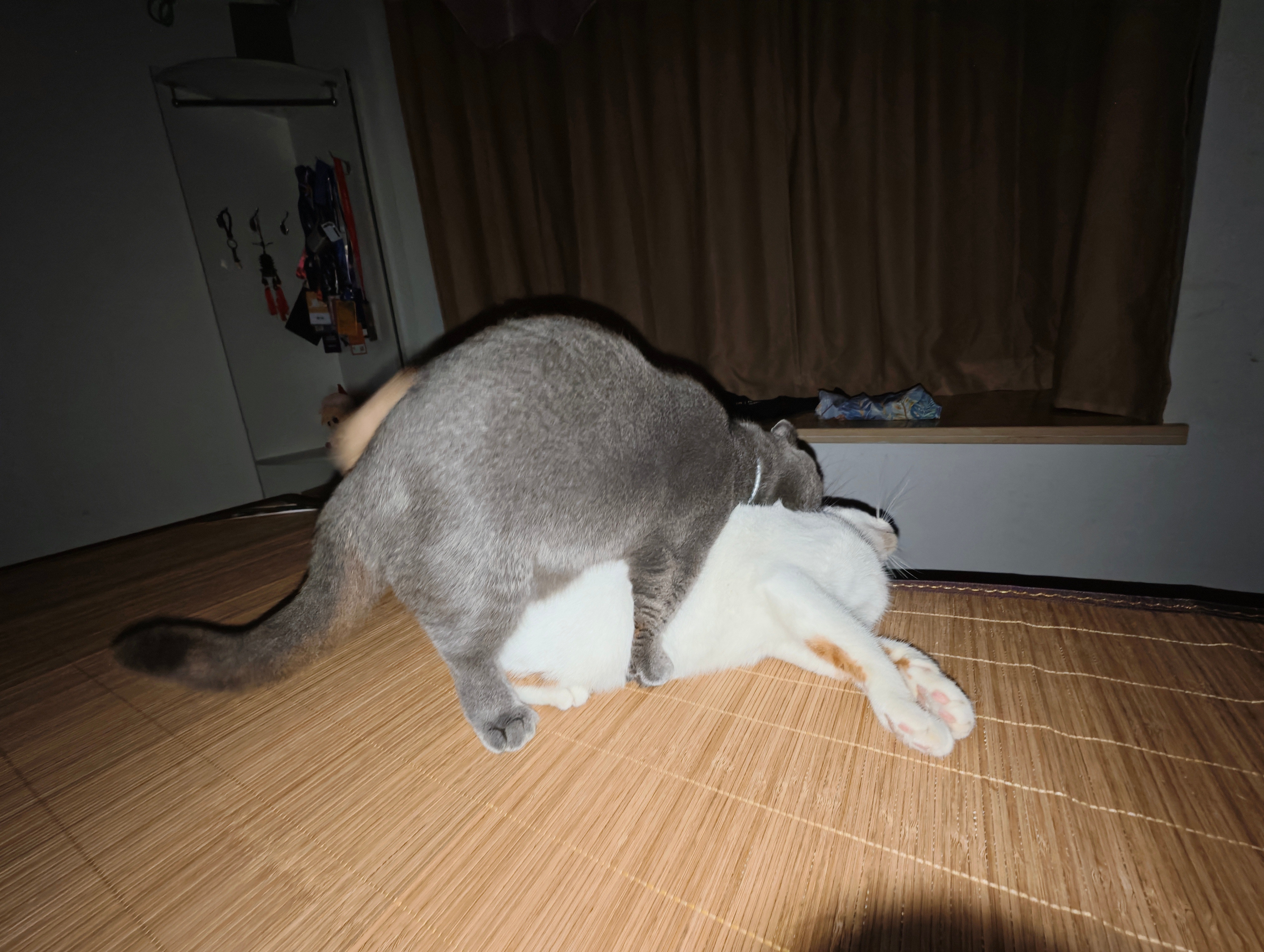 睡一半被吵醒，然后看到这​​​