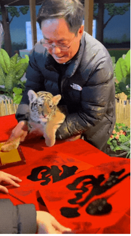 白嫖的，一毛钱也不给要不是我还小，高低咬你两口