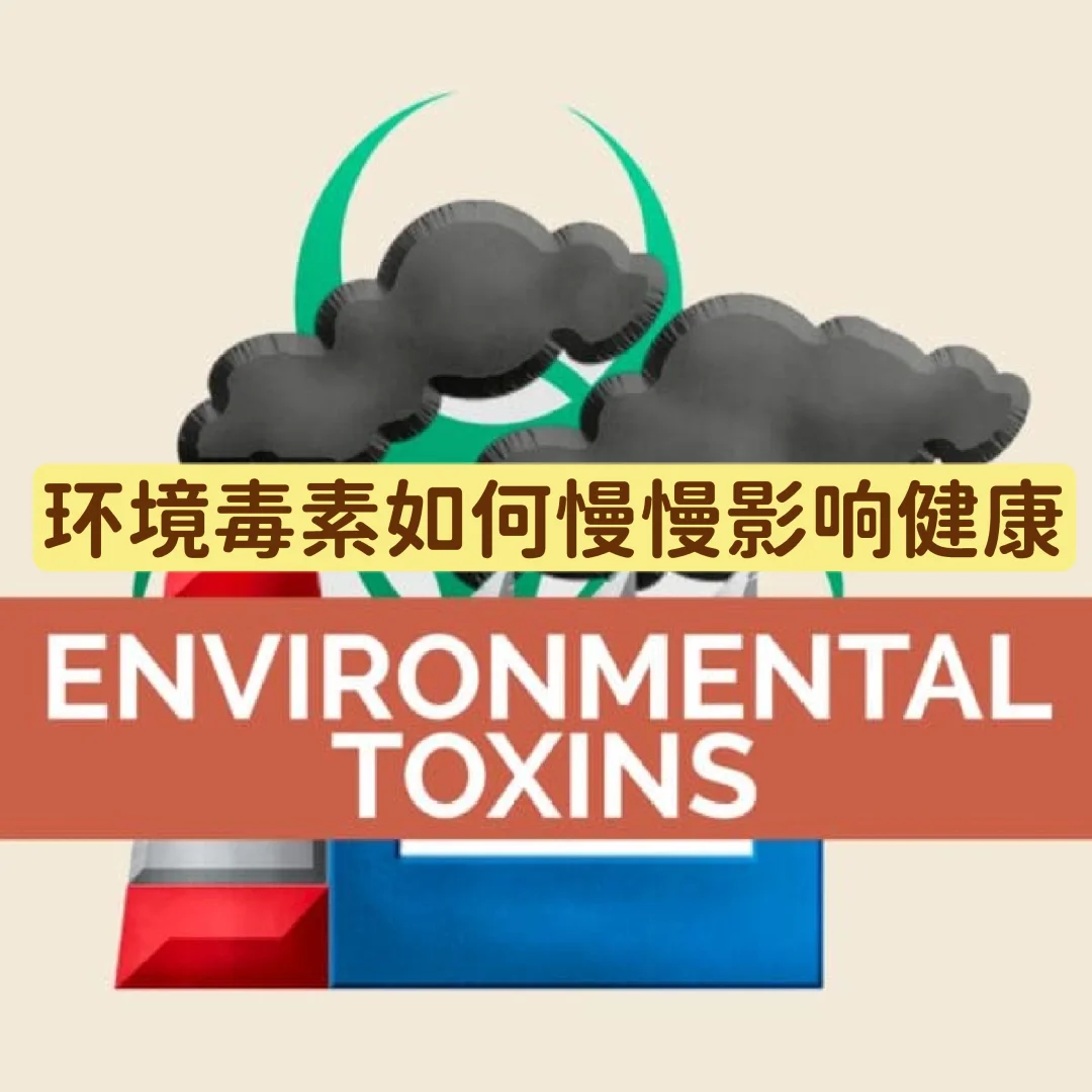 环境毒素是如何慢慢影响健康的？