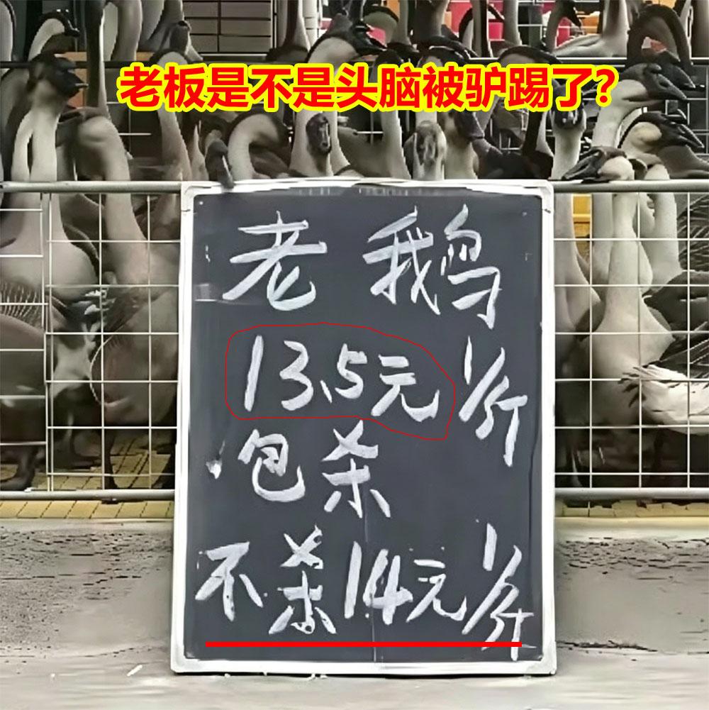 老板是不是头脑被驴踢了？昨天经过市场，看到一家卖鹅的。上面写着：老鹅13.5