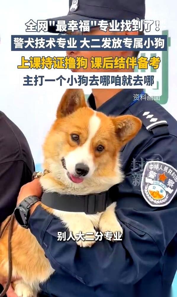 全网都在羡慕这个专业，号称“现实版宝可梦”。别人大二分文理、选方向，他们大二分