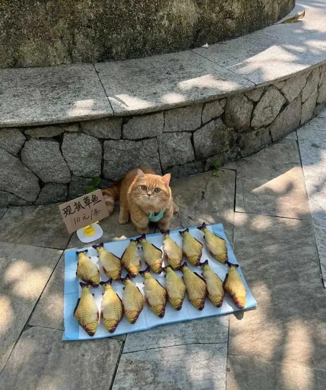 根本吃不完，还是卖了吧