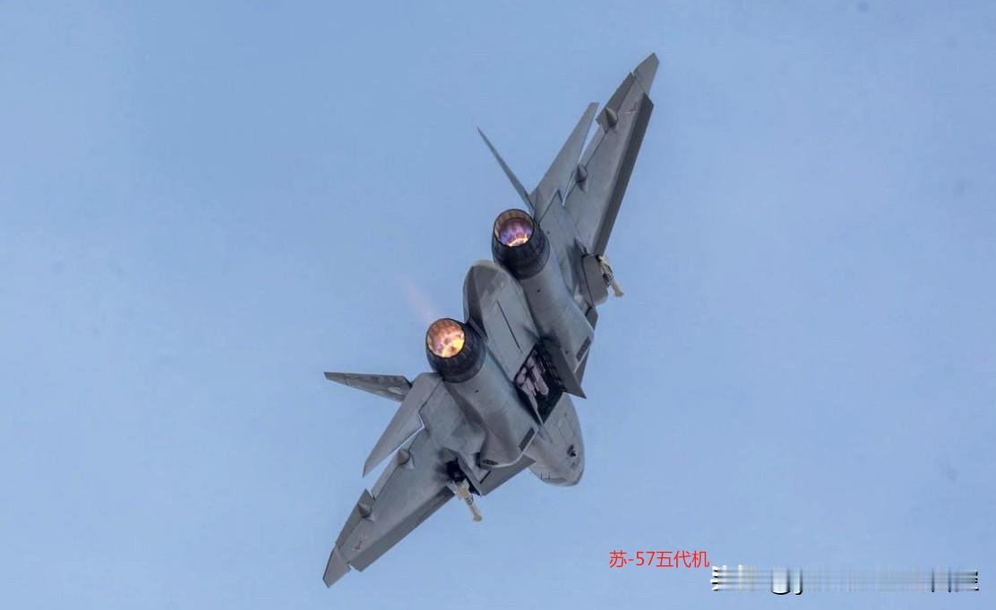 为了能留住印度这个能源与军工大客户，俄罗斯这次真的抛出了极为亮眼的“硬货”，由此