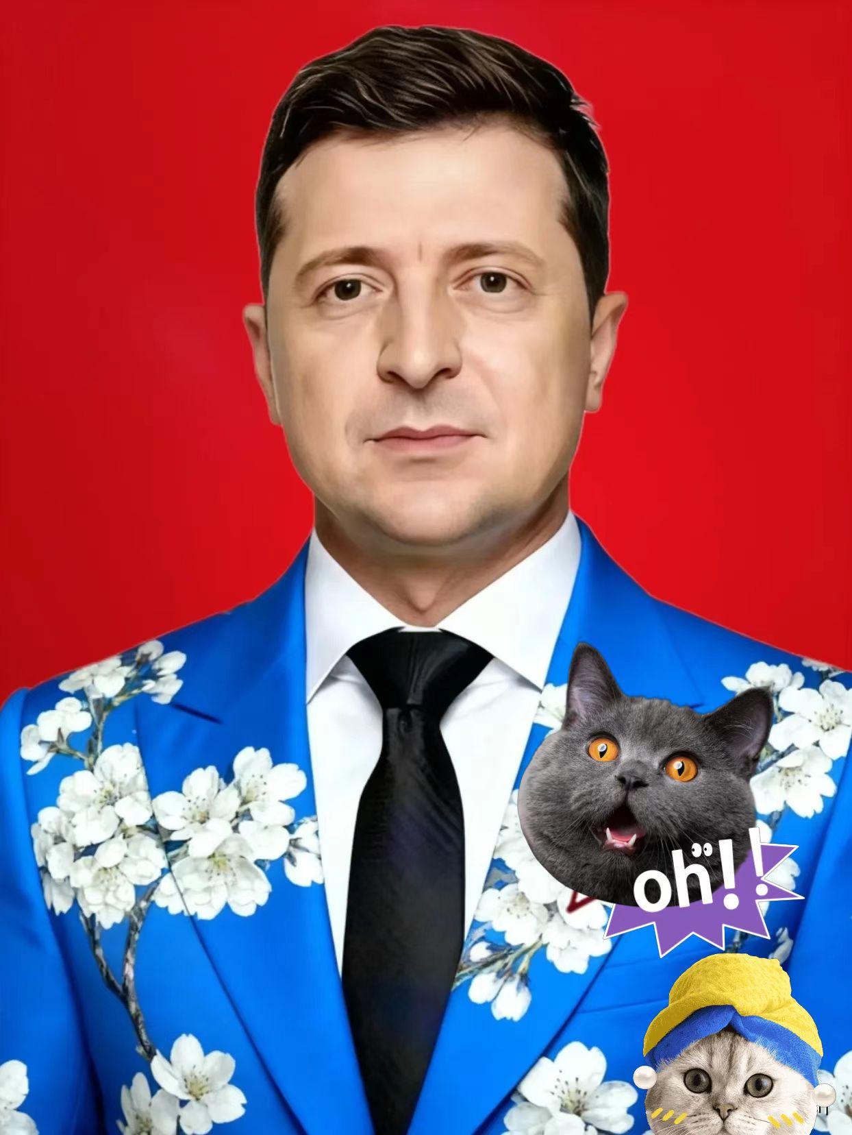 就刚刚乌克兰传来消息11月19日，泽连斯基跑到土耳其想重启俄乌和谈，