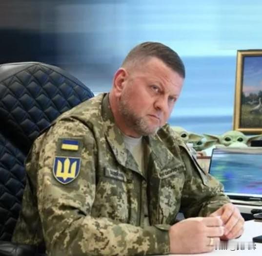 【“战争就是适应，是机动！是有勇气承认最初计划行不通”】乌军前“亚速旅”参谋