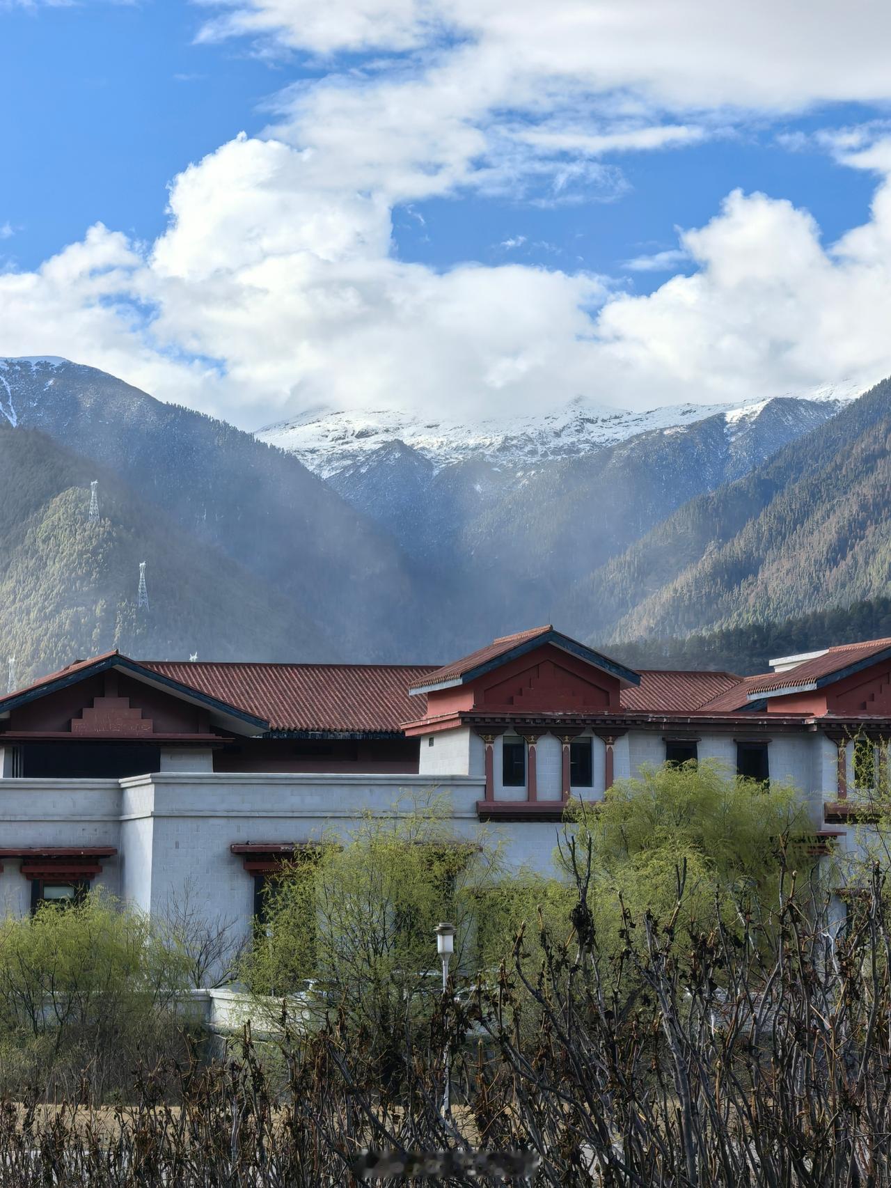 再次回到林芝，还是住在林芝希尔顿✨五年前初见便心动，故地重游直接锁了江景套房。