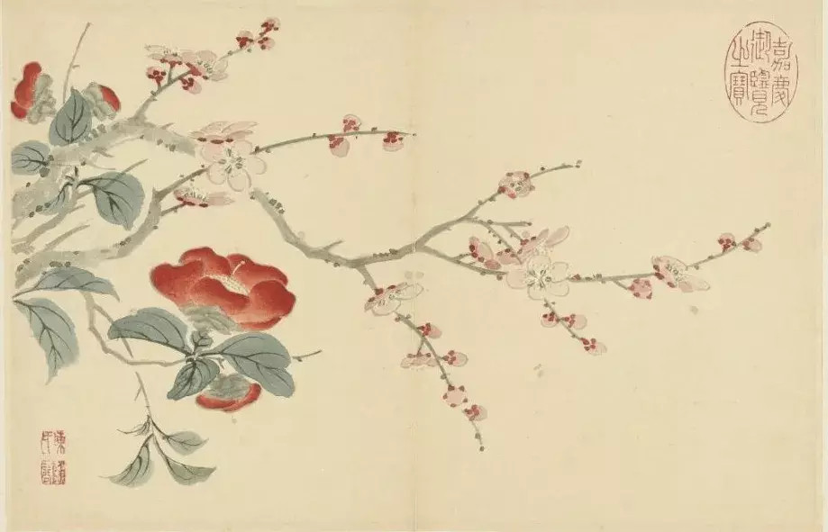 陈书花卉册。陈书(1660-736年)，字南楼，号上元弟子，晚号南楼老人。浙江嘉