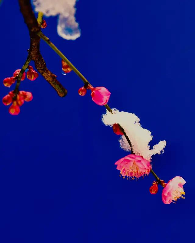 风摇竹叶清？恳上联