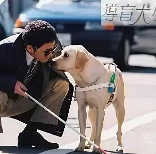 一个导盲犬是10个人工导盲的成本。如果不用，那资本玩导盲犬的投资怎么办，参考90