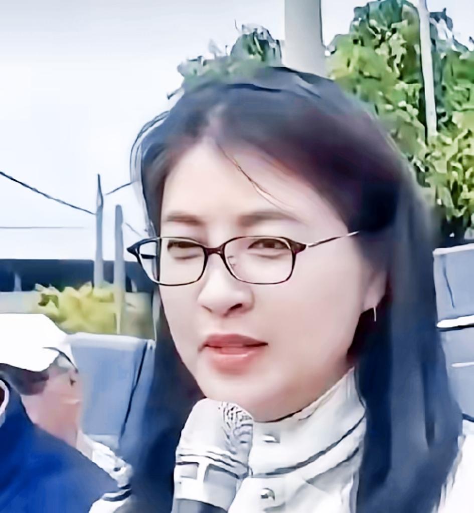 许淑华，中国台湾南投县县长。她1996年获“中国小姐”第四名，2005年当选南投