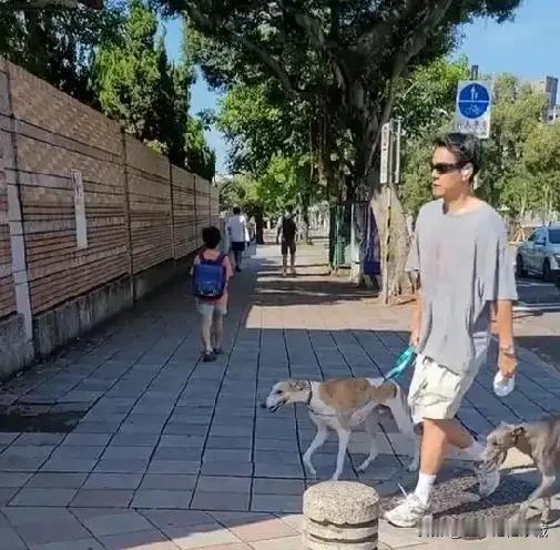 43岁的彭于晏开始不修边幅了，近日，彭于晏在街头遛狗被拍，彭于晏灰色圆领T恤，白