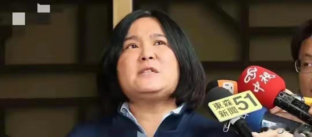 对着干湾湾岛媒体人吴子嘉与国民党主席郑丽文有仇，他公开喊出"郑丽文是败选女王”