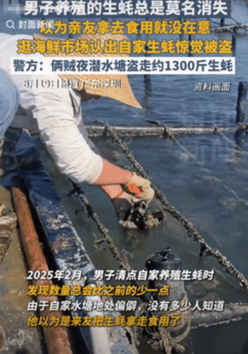 心不是一般的大！广东深圳，一男子养殖的生蚝总是莫名消失，他以为是亲友拿走吃了，就