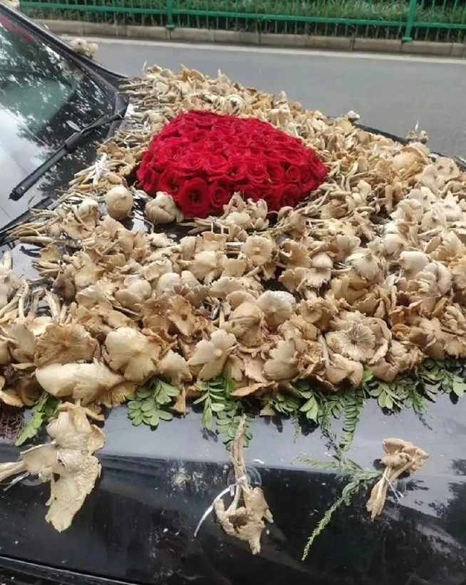 这就是独属于云南人的婚车嘛！