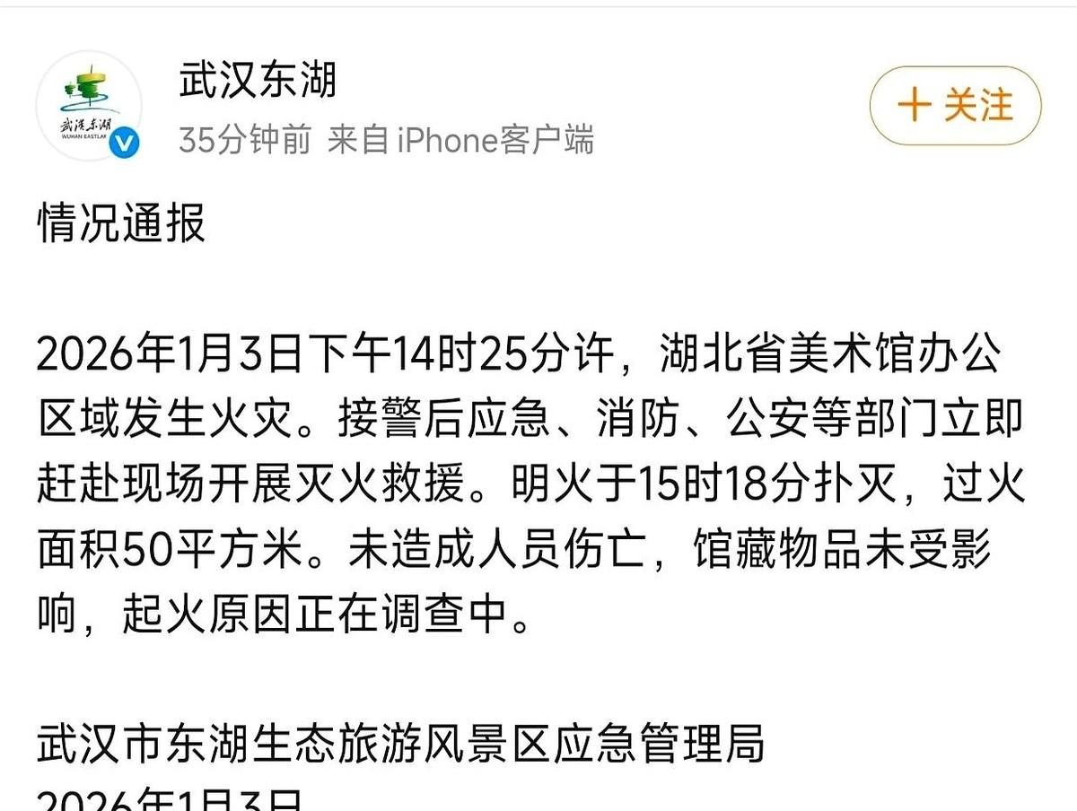 湖北省美术馆，着火了。消息弹出来那一刻，不知道多少人手里的活都停了，心里就一个